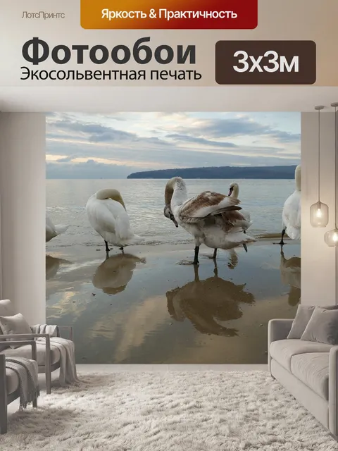 Фотообои Лебедь