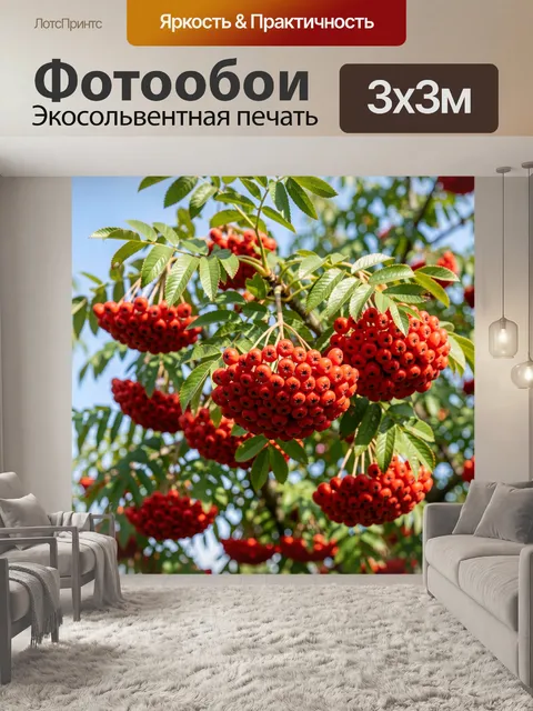 Фотообои Гроздья рябины на ветвях