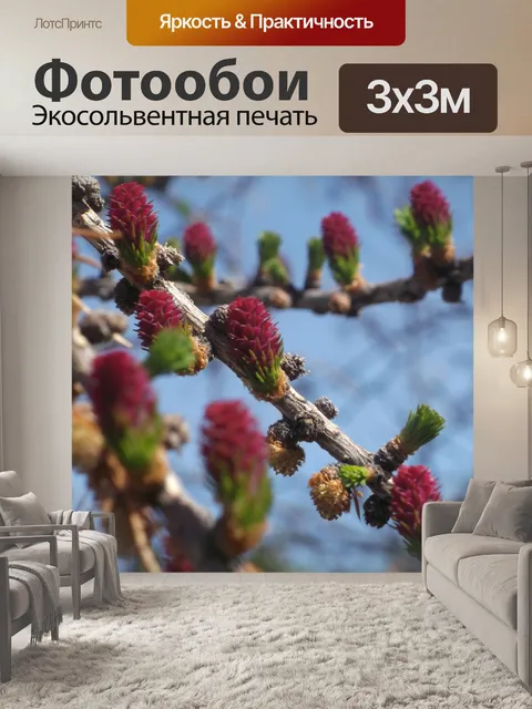 Фотообои красные бутоны часть 1