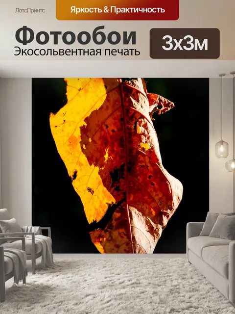 Фотообои Лист