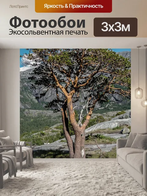Фотообои Дерево