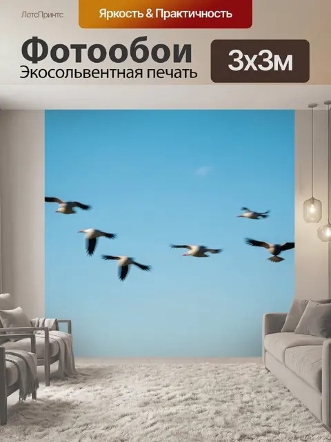Фотообои завораживающий вид на стаю птиц, взлетающих в ясное голубое небо
