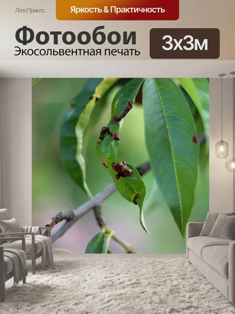 Фотообои Дерево