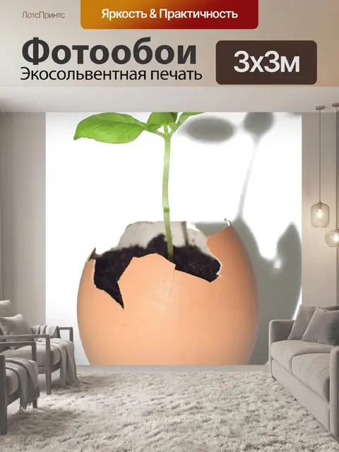 Фотообои Дерево