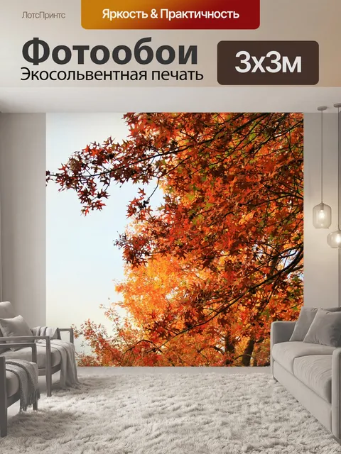 Фотообои оранжевые листья в конце солнечного свет