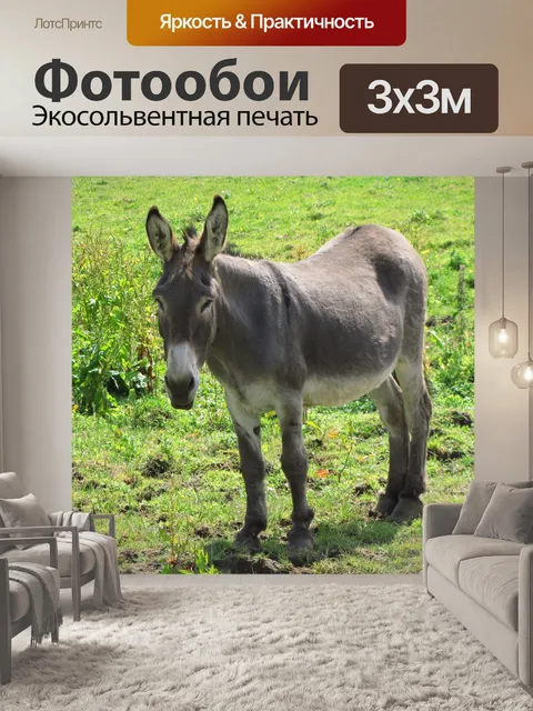 Фотообои Осел на лугу