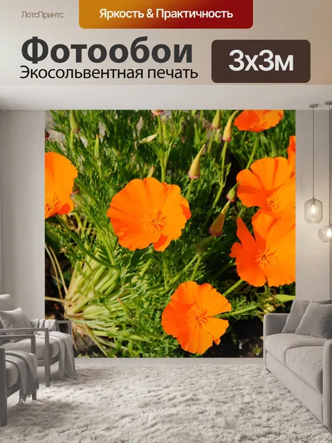 Фотообои Цветок