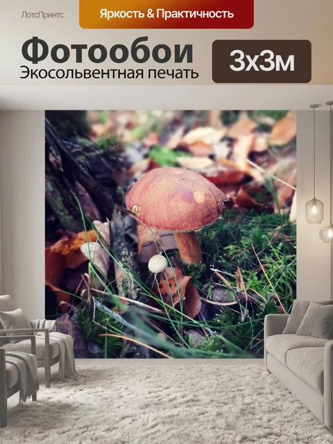 Фотообои Гриб