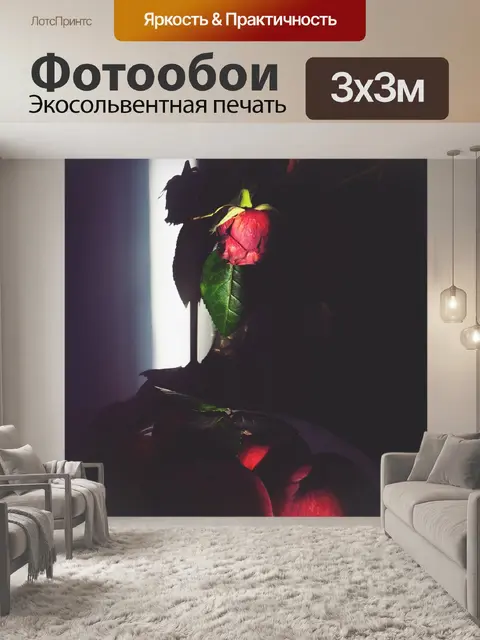 Фотообои Роза