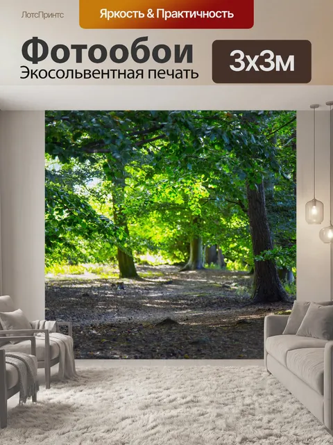Фотообои лес