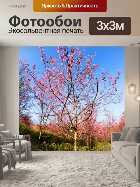 Фотообои Prunus cerasoides, дикая гималайская виш