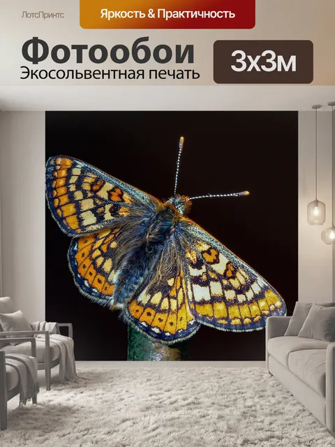 Фотообои Бабочка