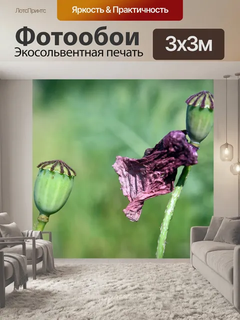 Фотообои Мак