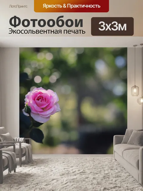 Фотообои Роза