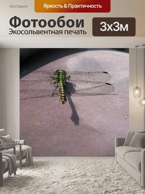 Фотообои Стрекоза