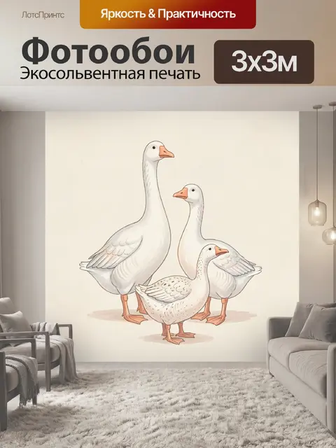 Фотообои Три белые домашние гуси