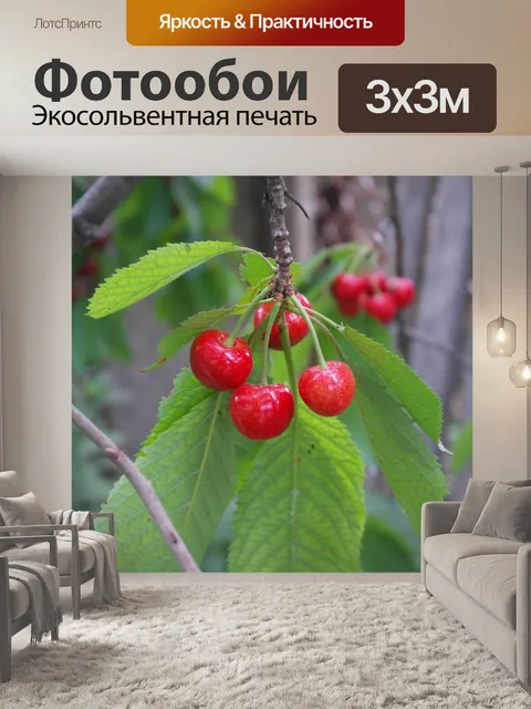 Фотообои Черешня