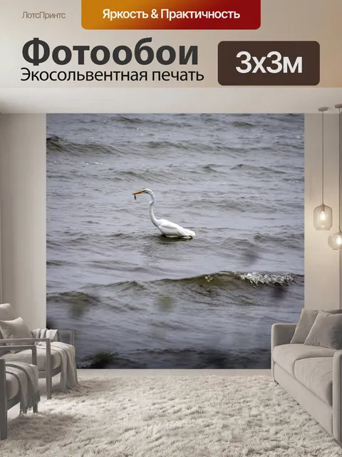 Фотообои снежная белая цапля