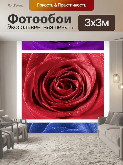 Фотообои Фотоискусство цветения роз