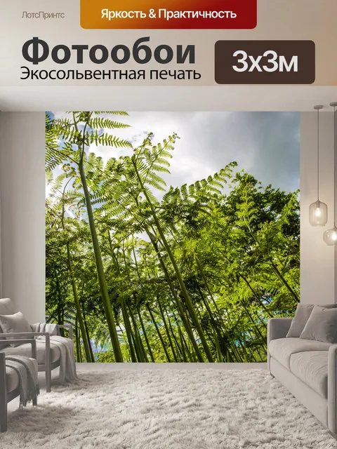 Фотообои папоротник