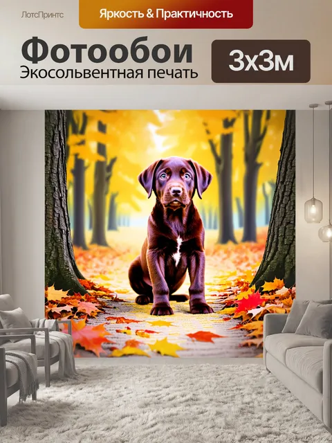 Фотообои лабрадор-щенок шоколадного цвета играет в два дерева среди осенней листвы