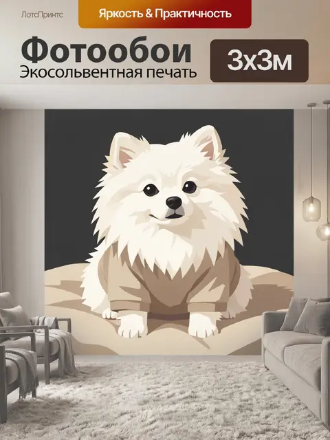 Фотообои Белый шпиц в свитере
