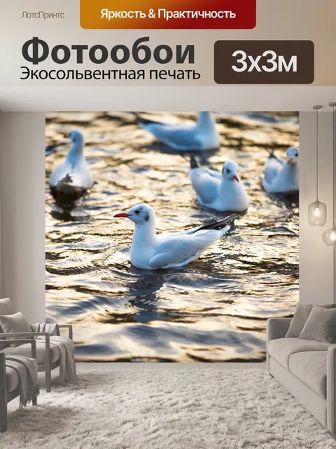 Фотообои Чайки в море