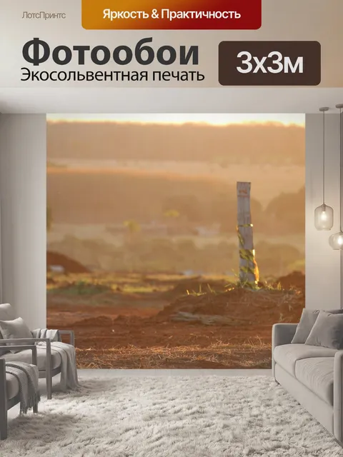 Фотообои Собака