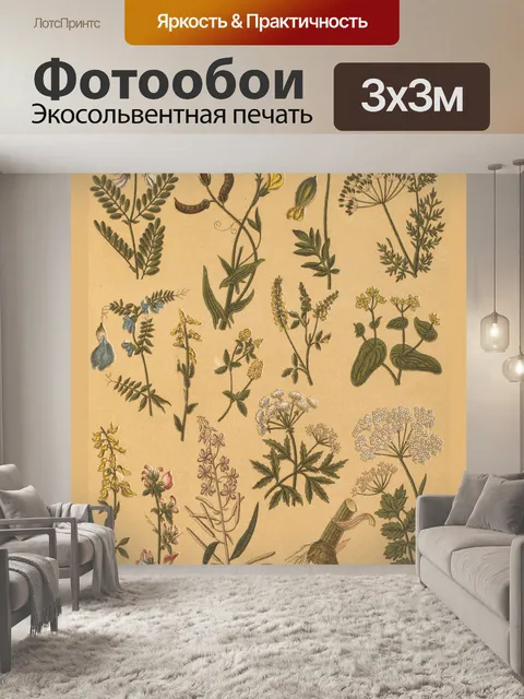 Фотообои Винтажные ботанические коллажи