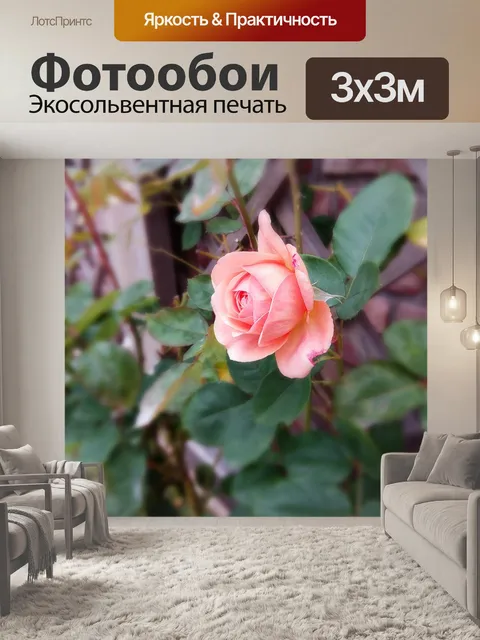Фотообои Розы