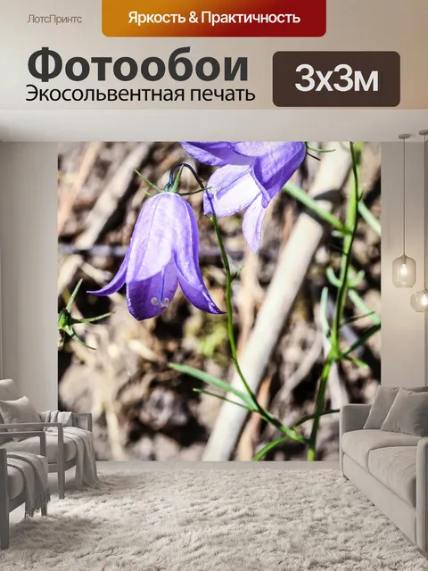 Фотообои Колокольчик
