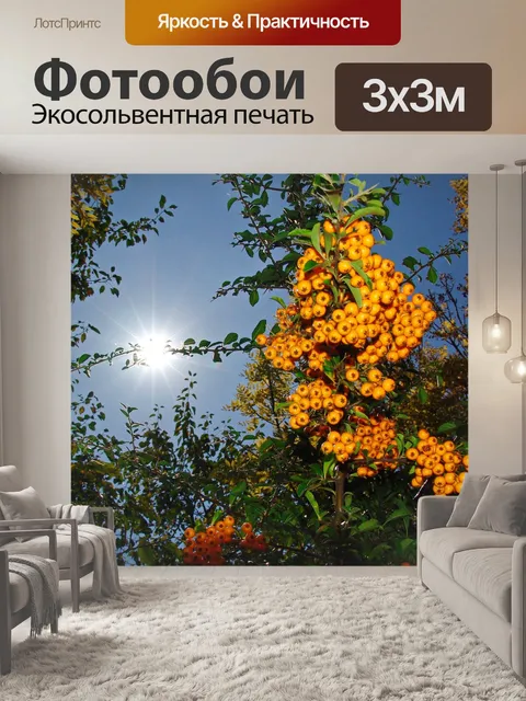 Фотообои Осень