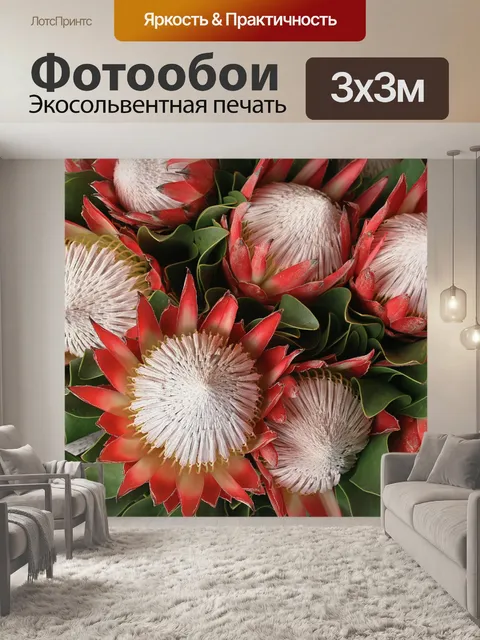 Фотообои розовые протеи с белыми центрами