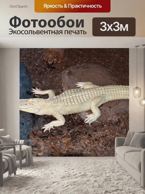 Фотообои Альбино Аллигатор