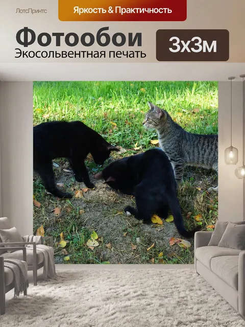 Фотообои Кошки