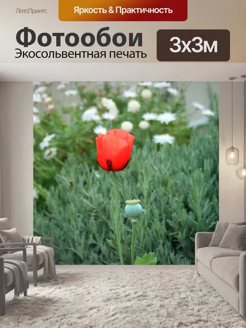 Фотообои Красный мак в саду