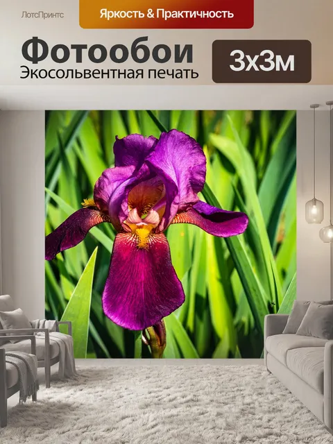 Фотообои Ирис