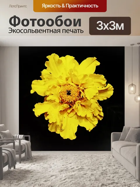 Фотообои свежий желтый календулы