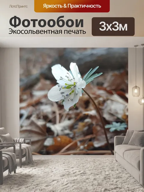 Фотообои Изменения в кислотно цветочный бриз