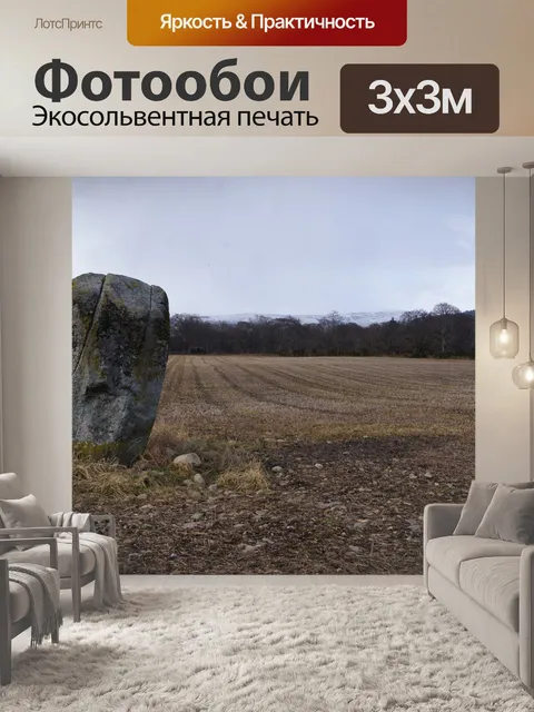 Фотообои Стоящий камень