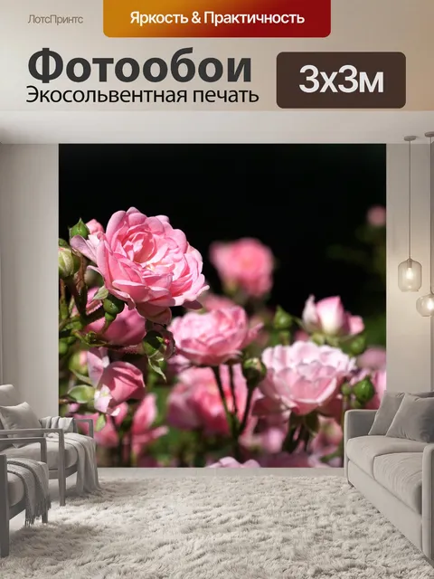 Фотообои Розы