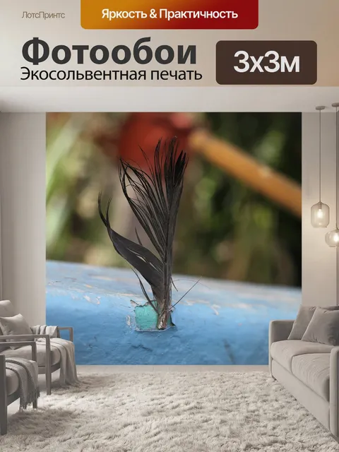 Фотообои Перо