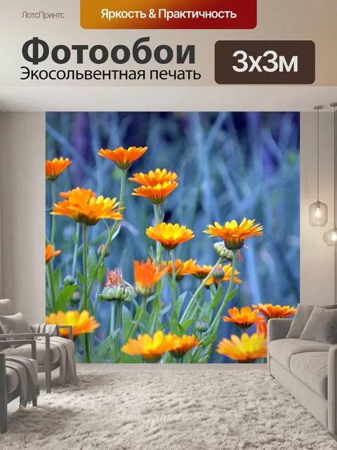 Фотообои Оранжевые цветы