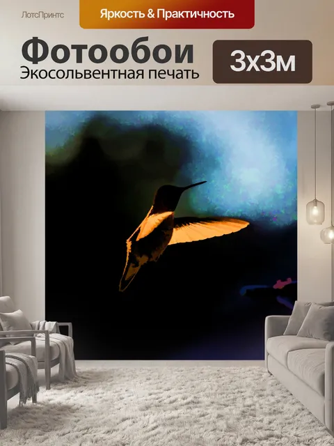 Фотообои Колибри Арт Плакат