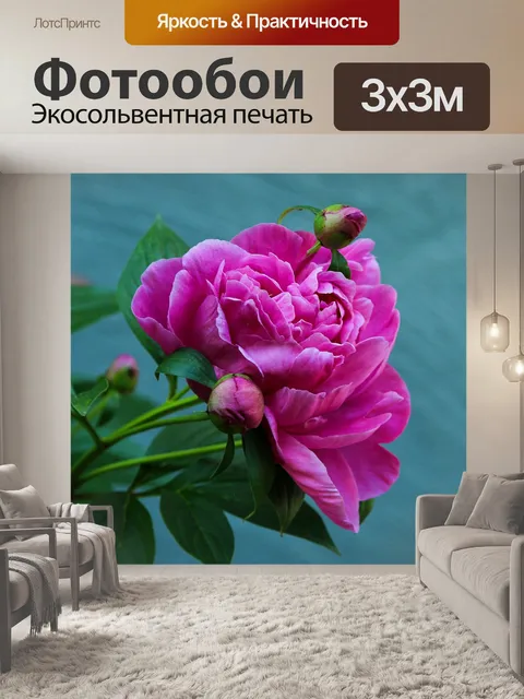 Фотообои Пион