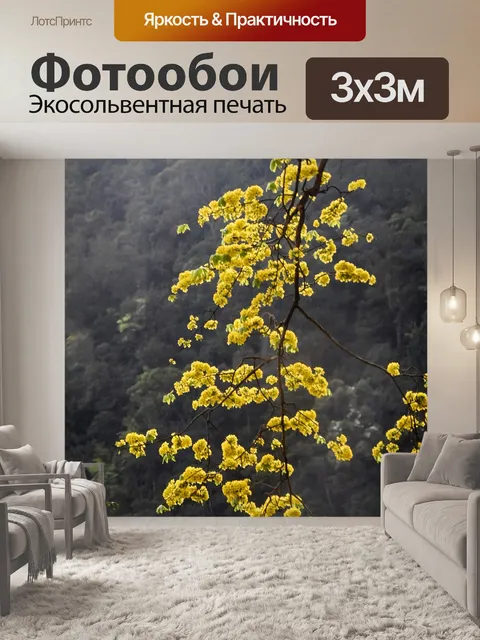 Фотообои Желтый цветок абрикоса