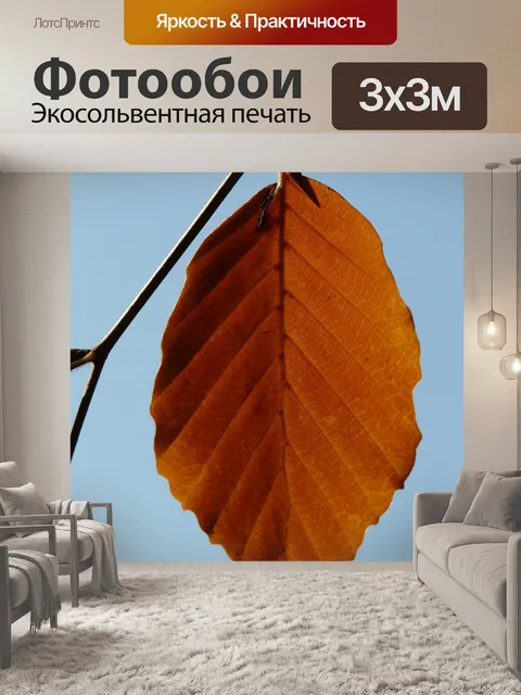 Фотообои Лист