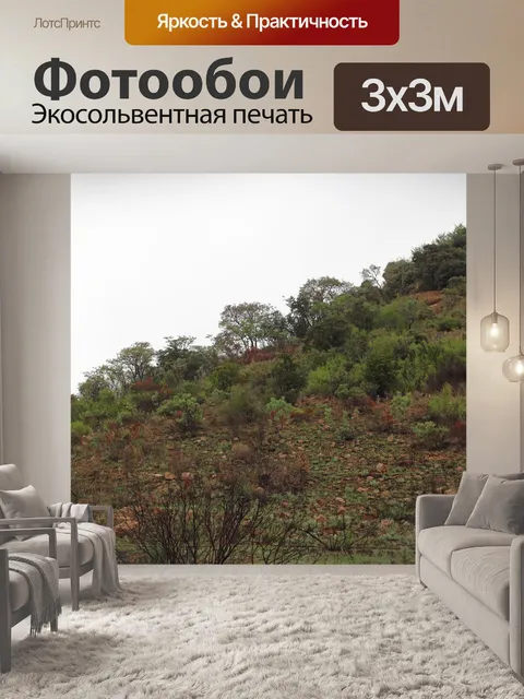 Фотообои камни и кусты на фоне холма