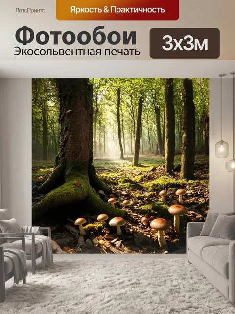 Фотообои лесото, таинственные леса, где лучи весеннего солнца пробиваются сквозь листву, создавая загадочные тени на…