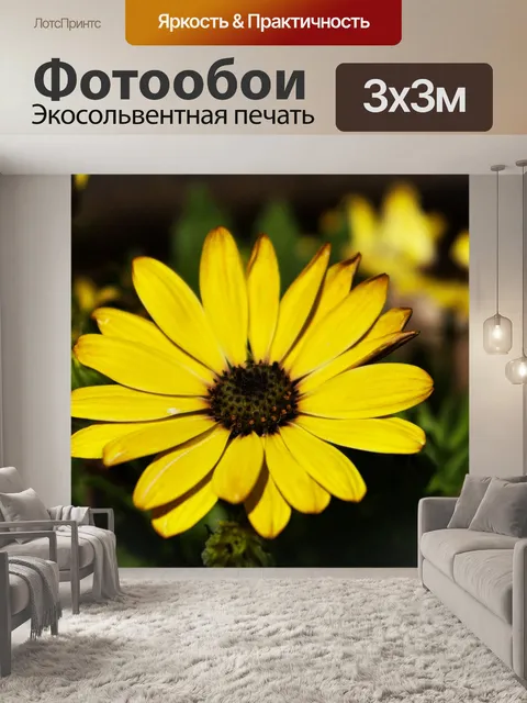 Фотообои Желтый цветок ромашка